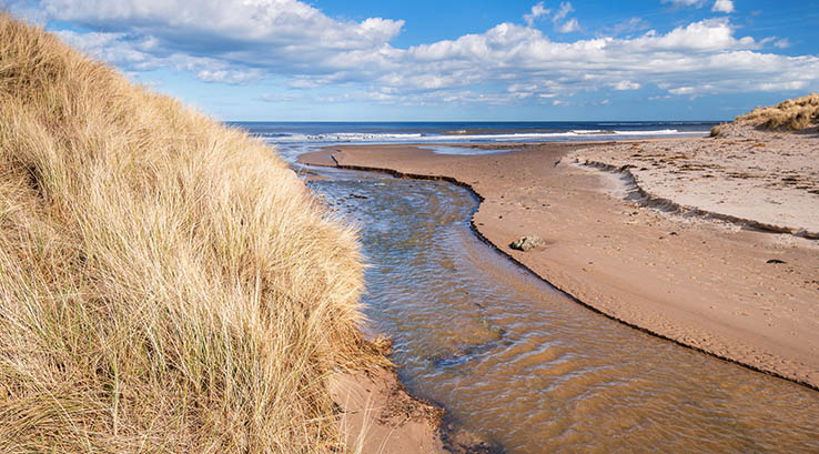 A stream cutting through a sandy beach, running out to sea