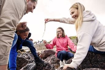 A family rockpooling at Eyemouth beach