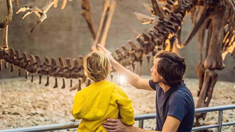 A family looking at dinosaur fossils in a museum