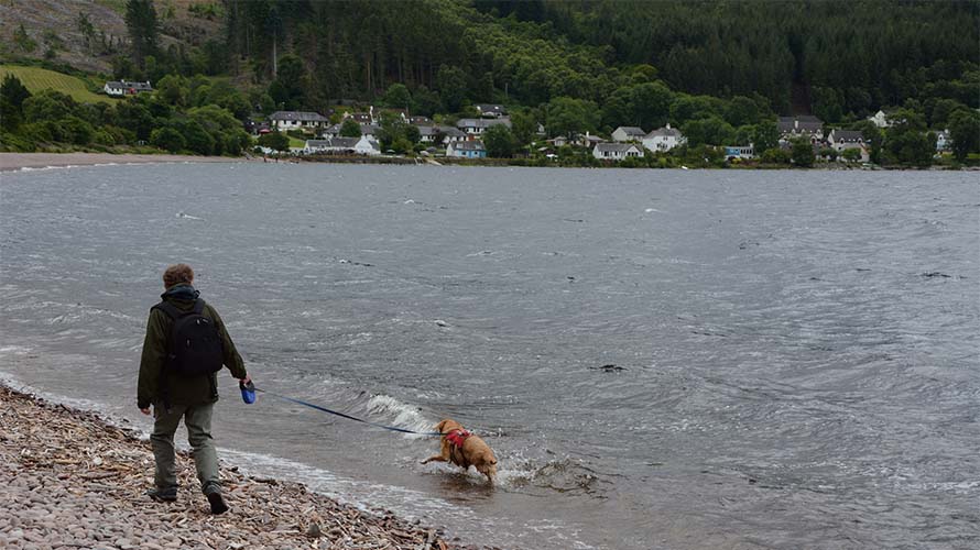 A man walking a dog along the beach near Inverness