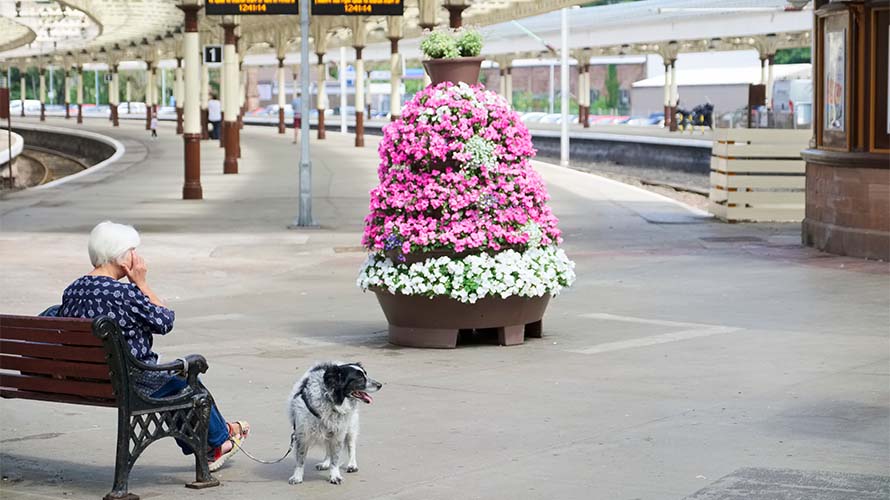 A woman and her dog sat in Wemyss Bay train station in Scotland
