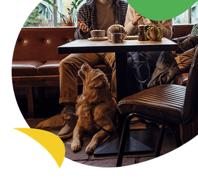 A dog lying beneath a table in a pub