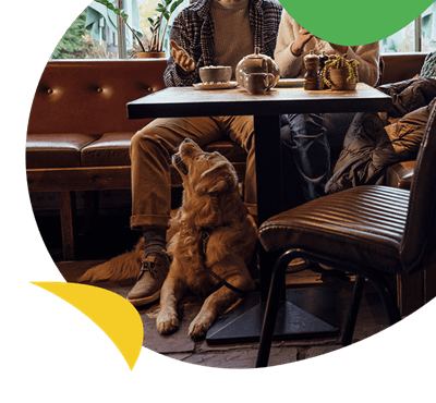 A dog lying beneath a table in a pub
