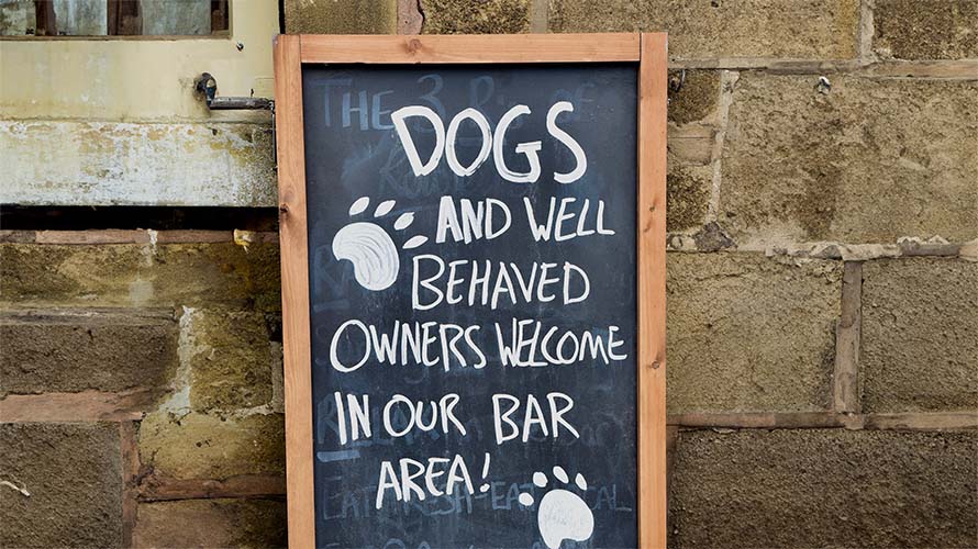 A sign outside a pub advertising that dogs are welcome