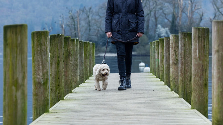 A woman walking her dog down the pier in Windermere