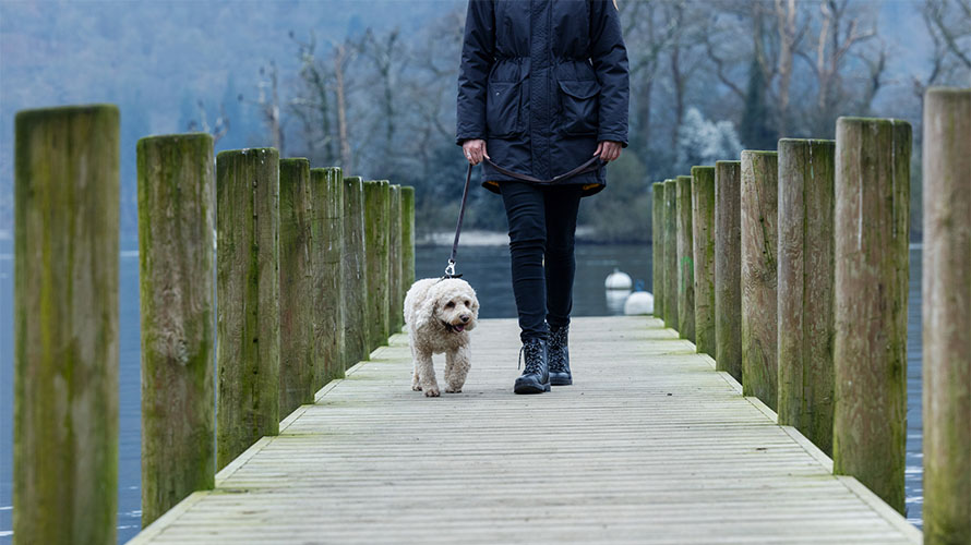 A woman walking her dog down the pier in Windermere