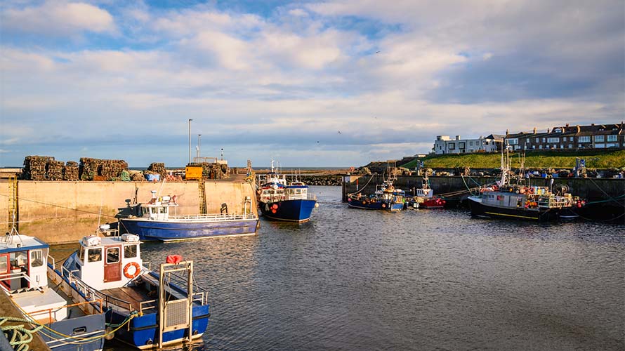 Fishing boats in the harbour at Seahouses in Northumberland