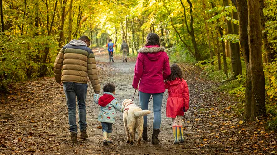 A family walking through the woods in autumn with their dog