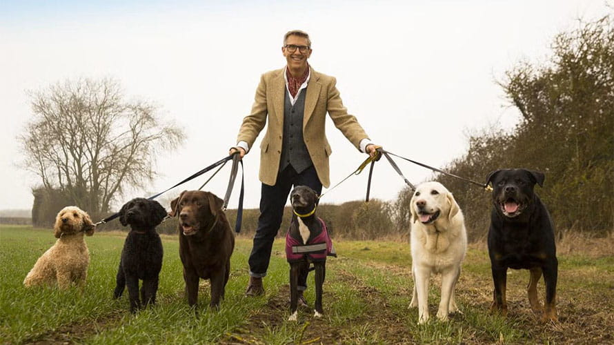 Celebrity dog trainer Graeme Hall walking a pack of dogs