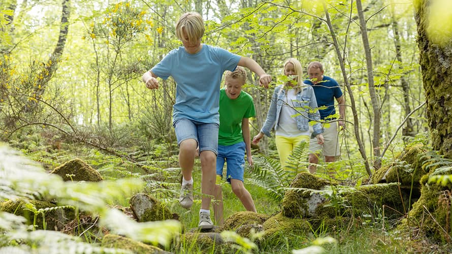 A family exploring the woods on holiday