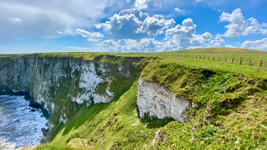 A view of cliffs on the Yorkshire Coast