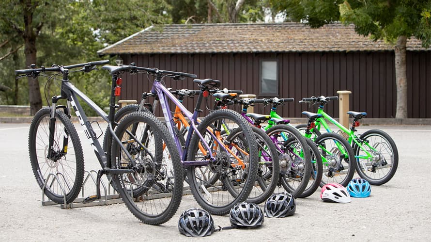 A row of bikes for hire at Warmwell Holiday Park