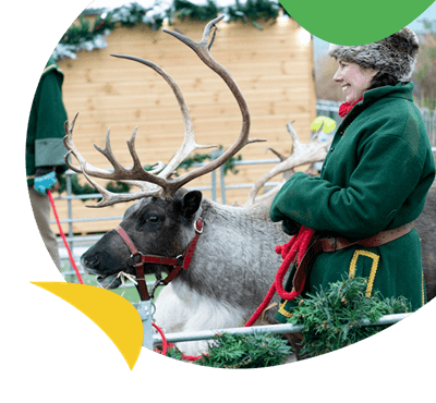 A woman stood next to a reindeer