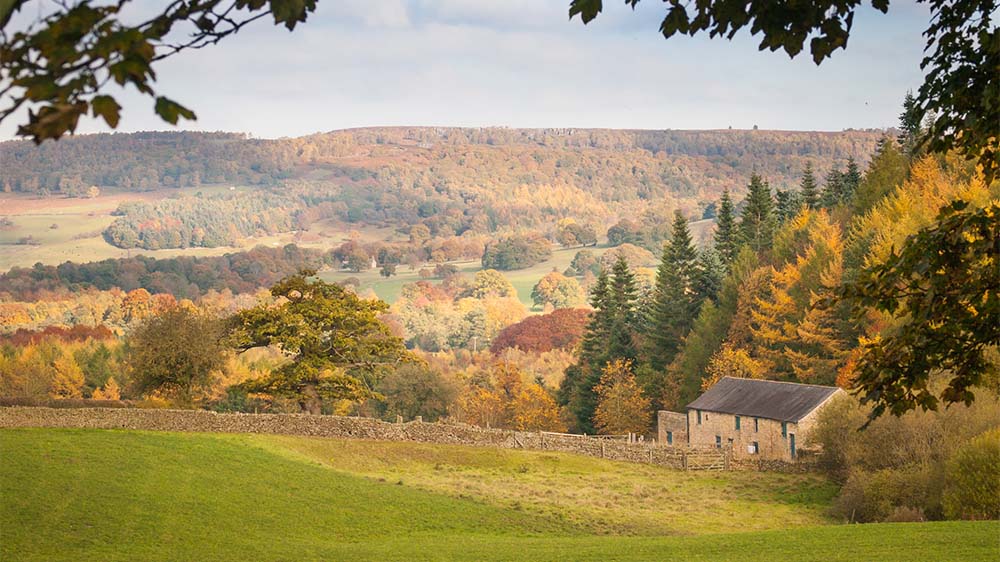 An autumn day in the leafy grounds of the Chatsworth Estate