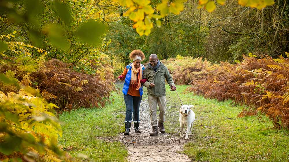 A couple walking their dog through Plessey Woods on an autumn day