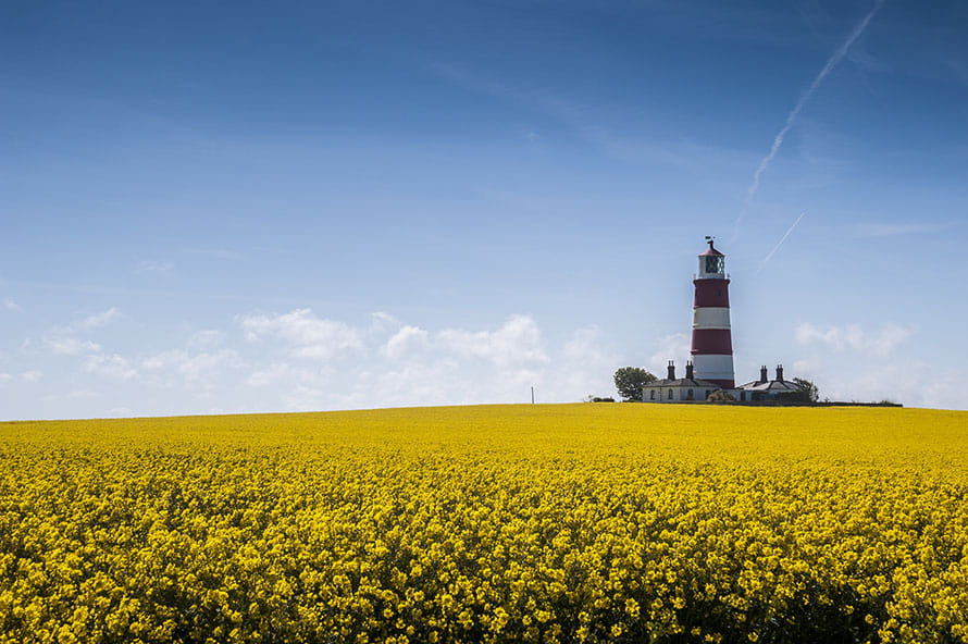 A lighthouse in a field in Norfolk