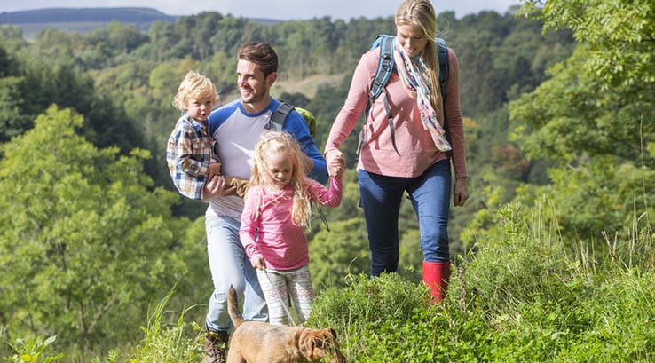A family walk with the dog