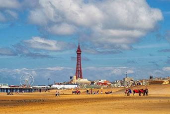 Donkeys on Blackpool beach on a summer day