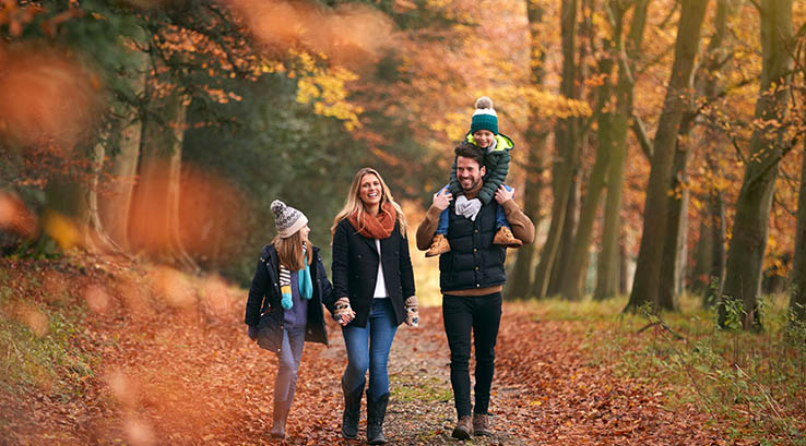 A family on an autumnal woodland walk