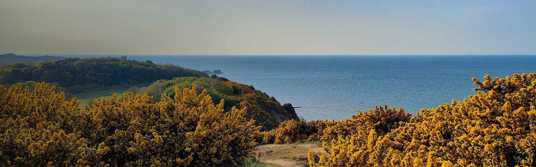 A coastal path winding through shrubs on the Norfolk coastline