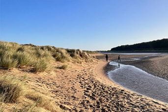 A stream along a beach surrounded by grassy dunes