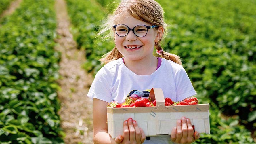 A girl carrying a basket of strawberries at a PYO farm
