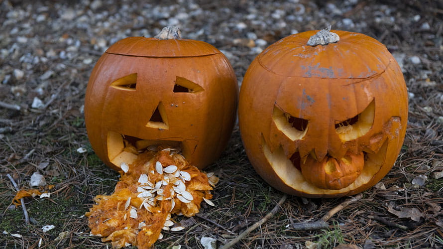 Two carved pumpkins on the ground