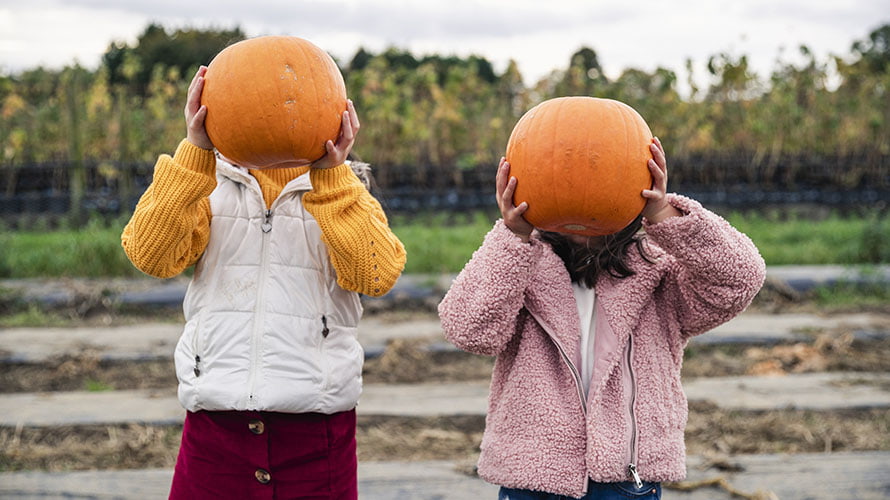 Kids holding pumpkins in front of their faces