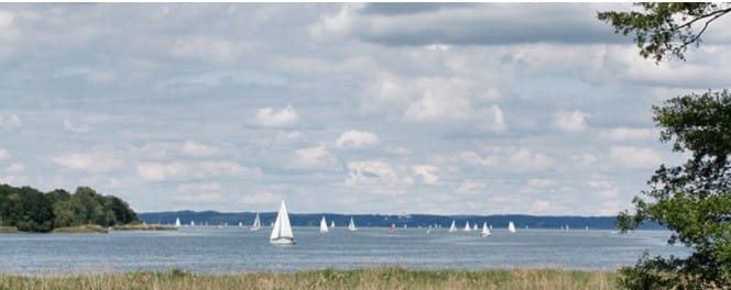 Sailing boats on the water at the Round the Island Race