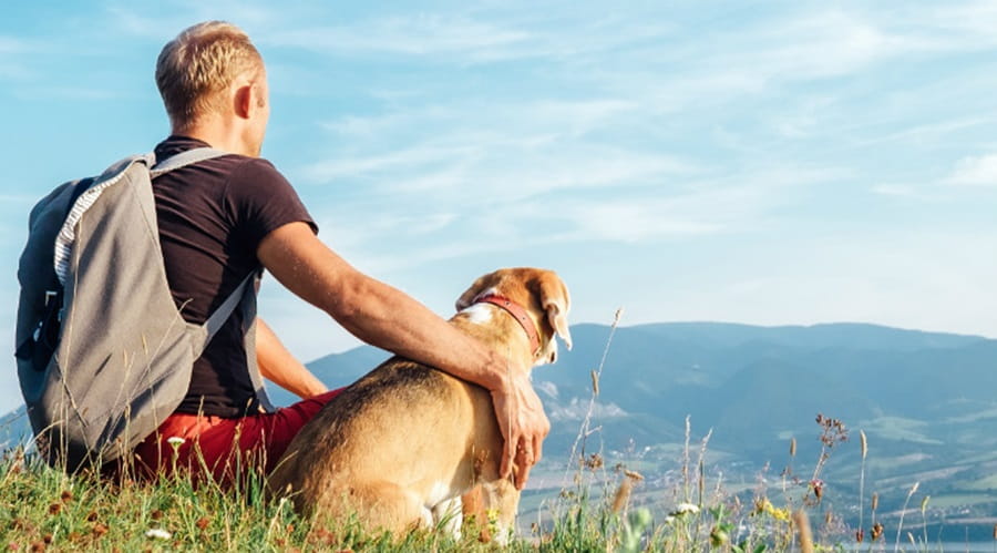 Man and dog on hill top