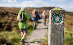 Hikers following a walking trial
