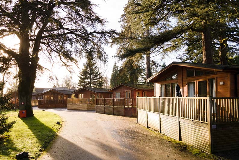 Lodges amongst the trees at Fallbarrow Holiday Park