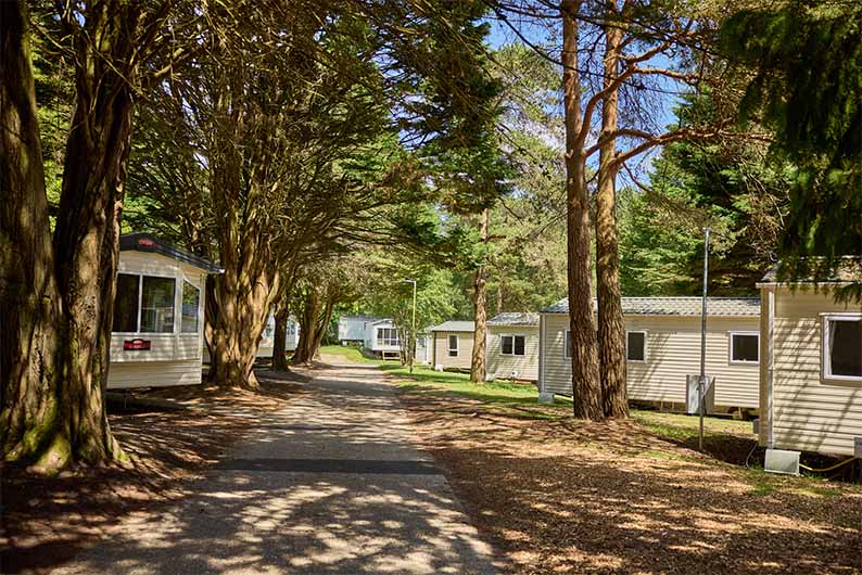 Caravans amongst the trees at Sandford Holiday Park in Dorset
