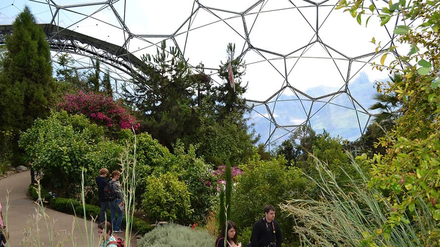 Plants inside the biome at Eden Project in Cornwall
