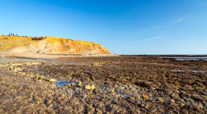 Compton Bay