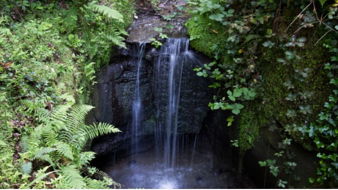 Waterfall at Shanklin Chine