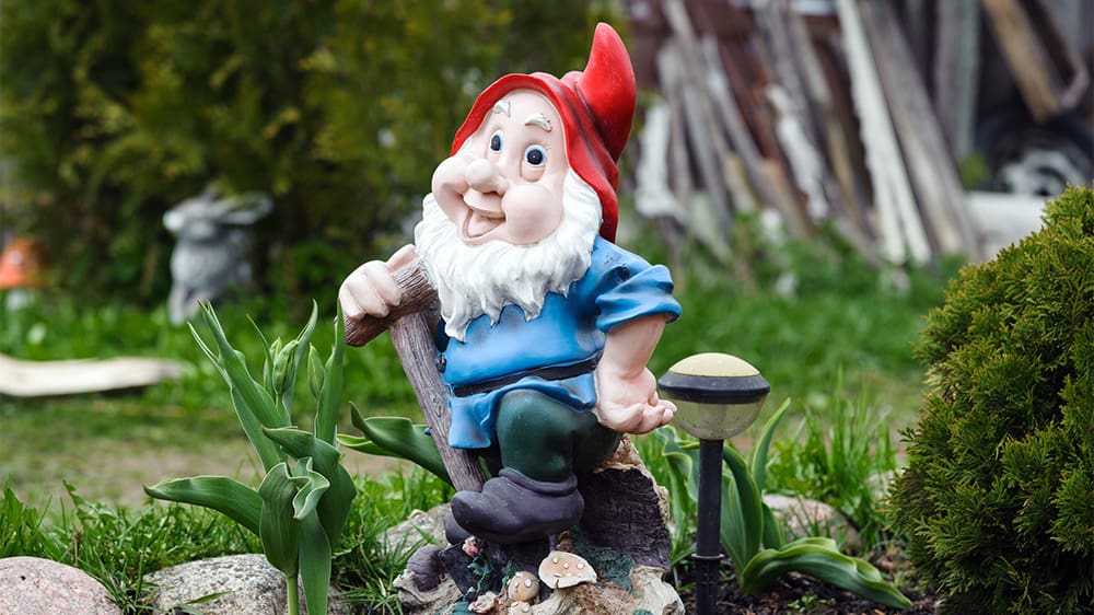 A garden gnome ornament in a garden
