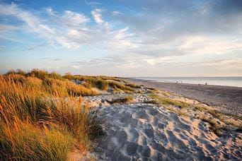 Grassy sand dunes at West Wittering beach