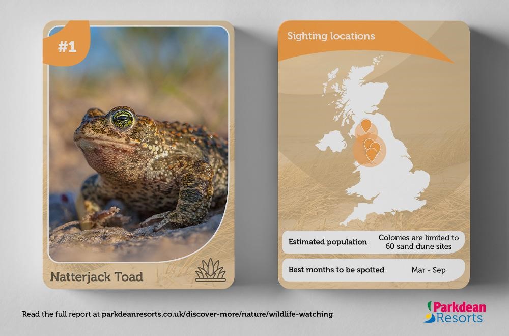 Information card showing the habitat and population of the Natterjack Toad