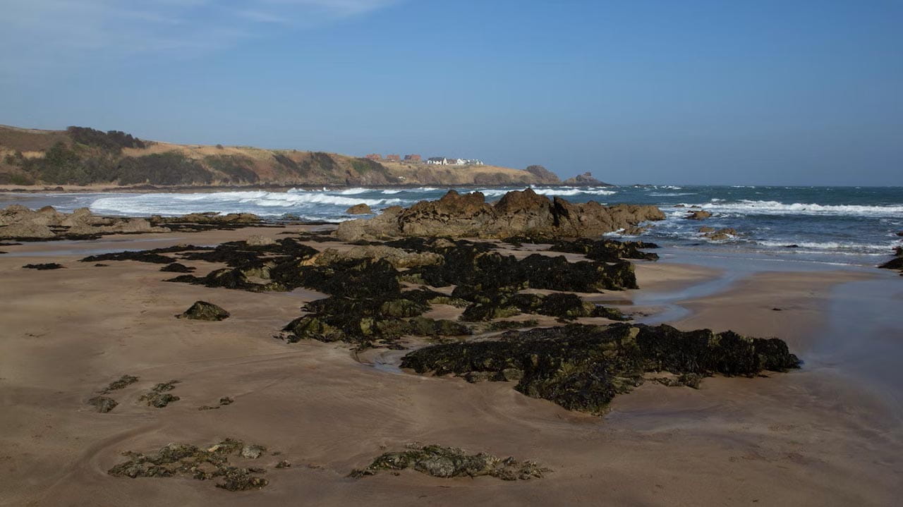Low tide at Coldingham Bay