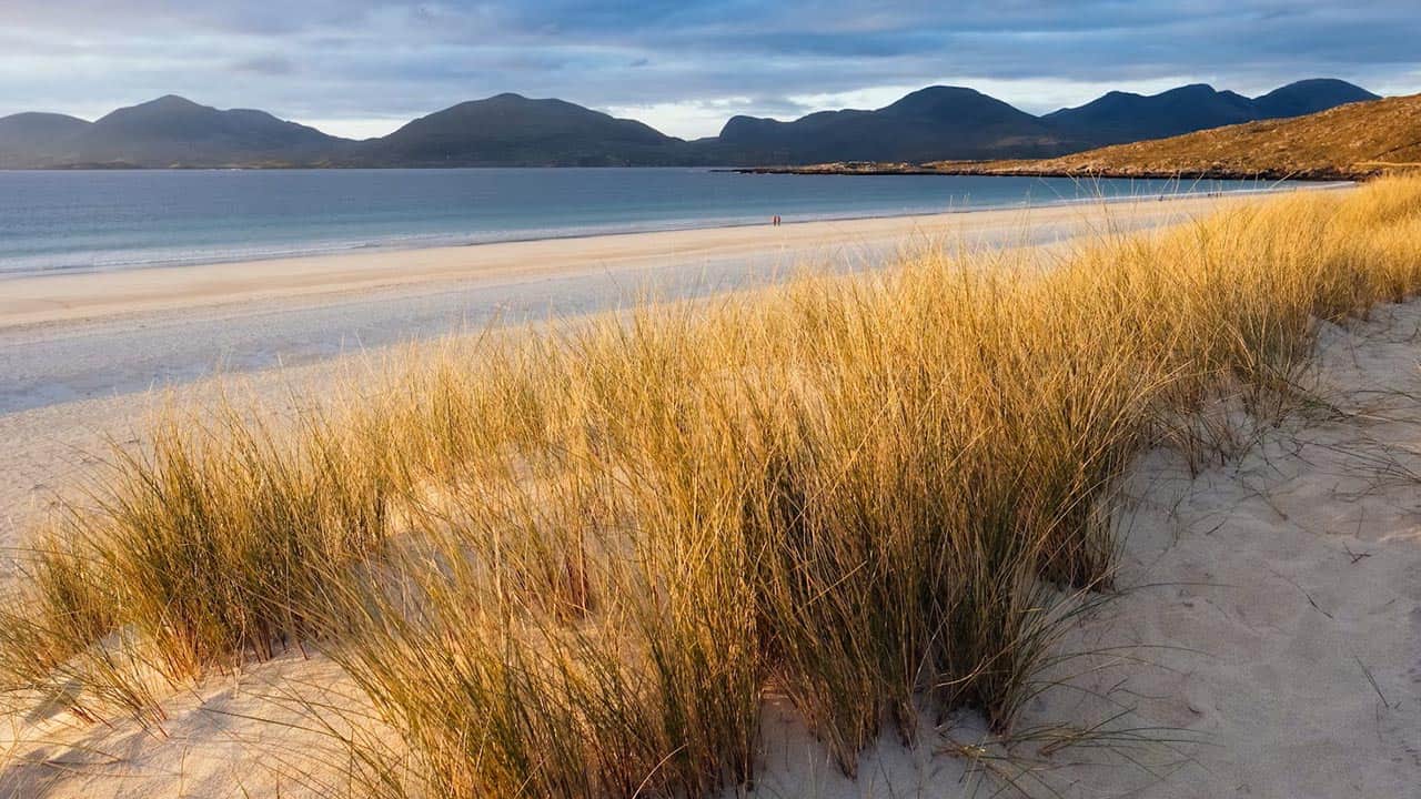Grassy dunes at Luskentyre Beach