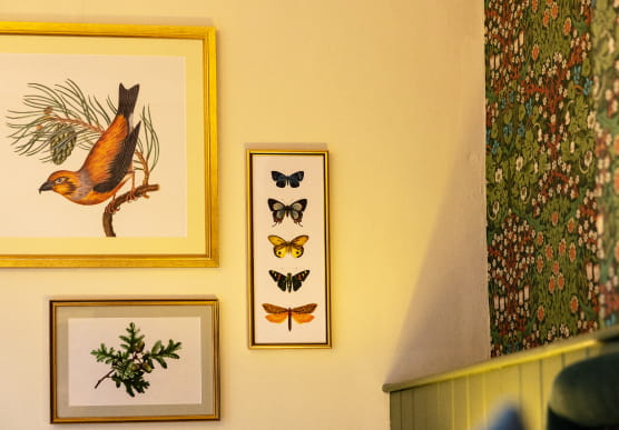 Gold frames on wall with bird and butterfly prints