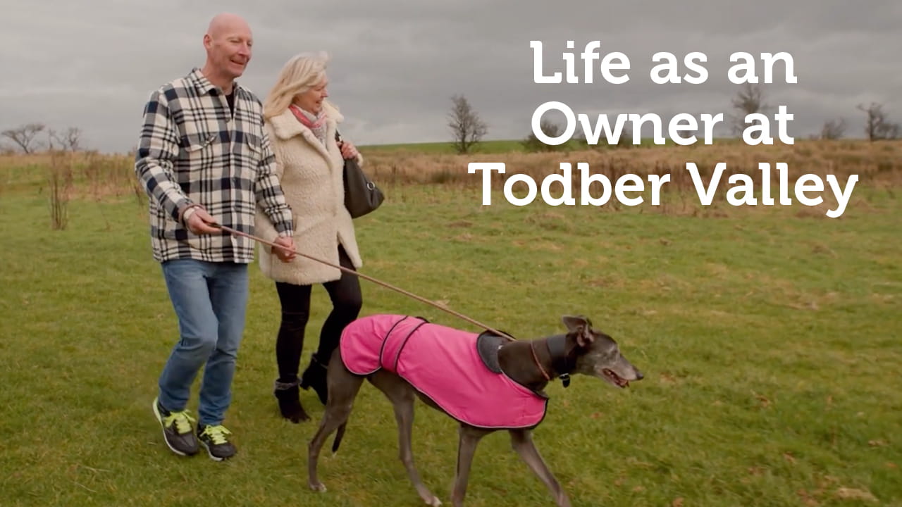 Couple walking a dog