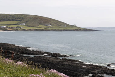 A view of a Devon beach