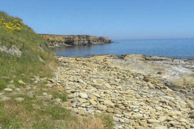 beach in northumberland