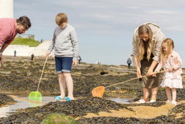 family rockpooling