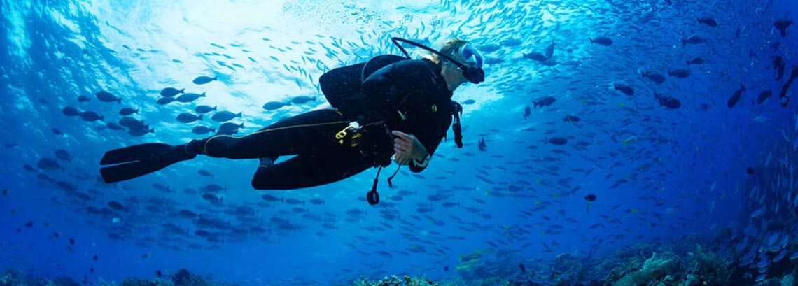 A person scuba diving in the ocean