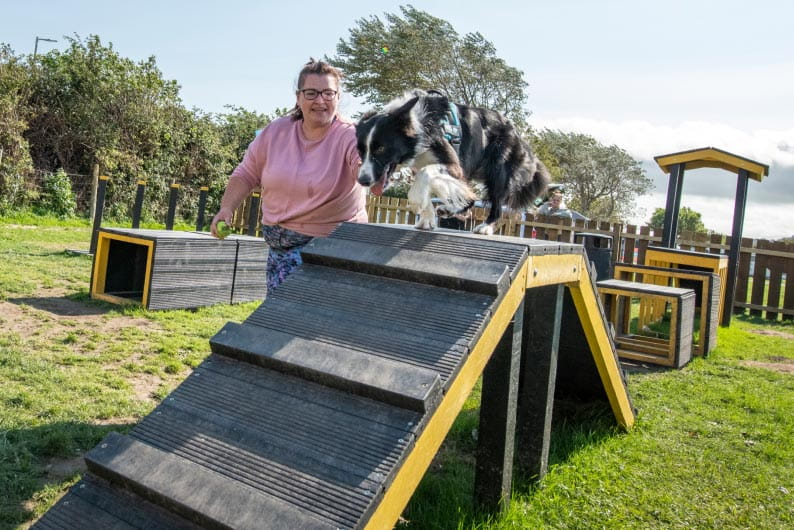 Dog at woof park at Parkdean Resorts