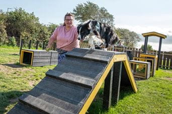 Dog at woof park at Parkdean Resorts