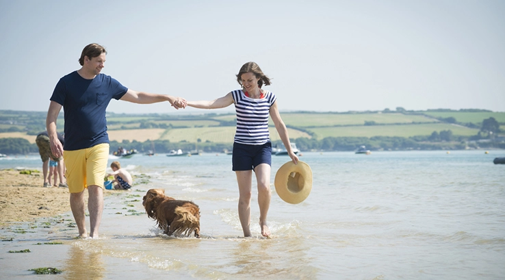 a couple holding hands paddling in the sea with a dog